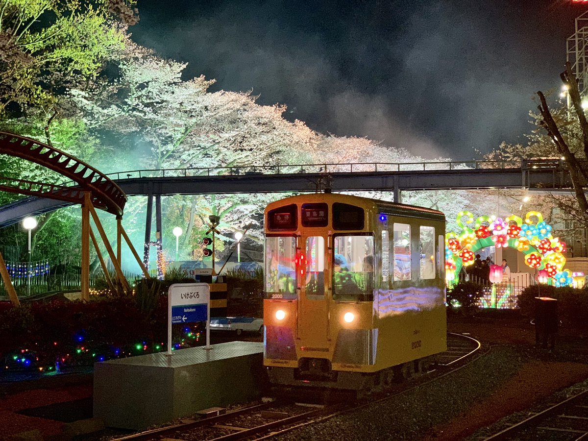 運転の練習がてら砧公園の桜ととしまえんの夜桜を楽しんできた〜。 