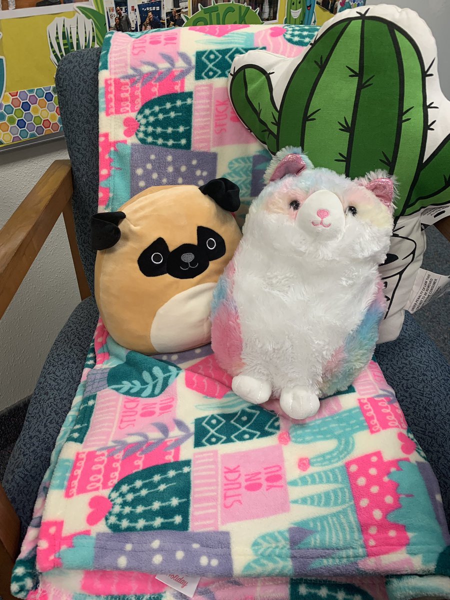 MrsMulkey5's tweet photo. When your student accidentally leaves their βbring a stuffed animalβ reward at school they make friends with Peaches the Pug! #slumberparty #storiestotell #teacherspets #dogandcatarefriends #rm418 https://t.co/9FinIoqSpe