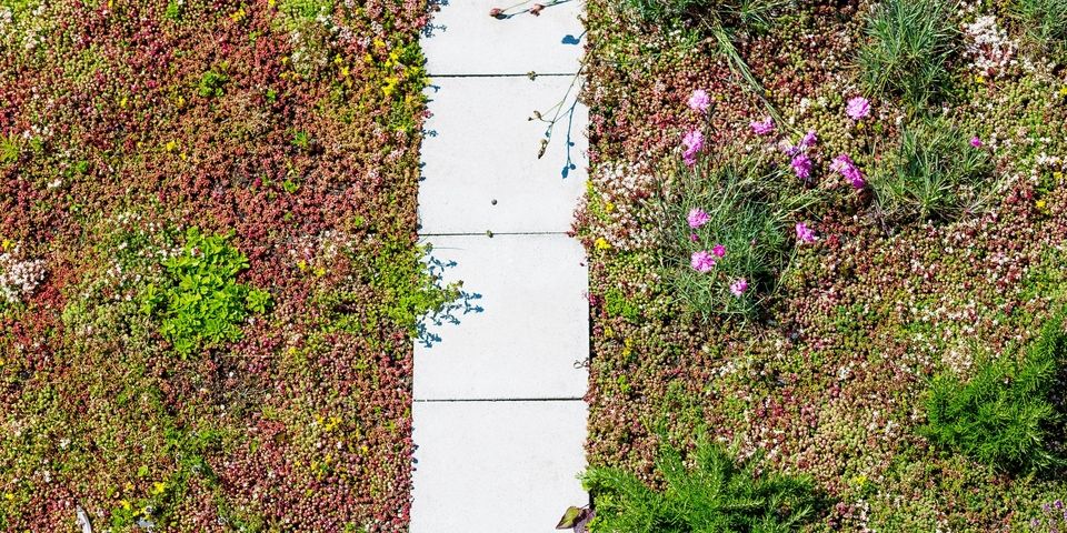 Natuur &amp; Bos en Departement Omgeving stellen 5 miljoen euro aan subsidies ter beschikking voor #groendaken/-gevels! Organisaties en verenigingen kunnen tot 15/05/19 een project met min. 150m2 aan groendak/-gevel indienen. Niet twijfelen! Meer info: 
omgevingvlaanderen.be/subsidies-onth…