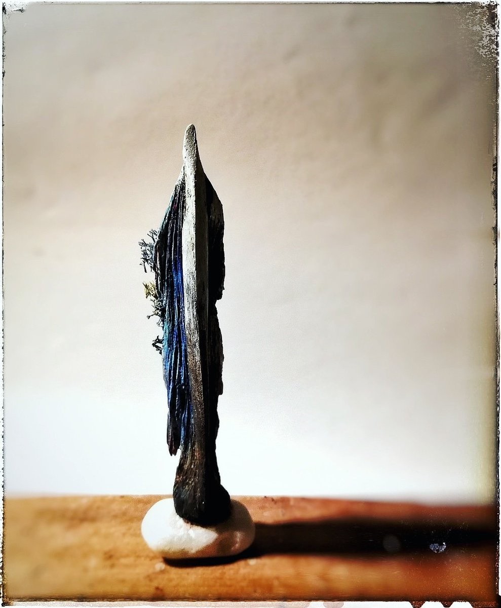 meta_yama's tweet photo. angel *

: water / plant / moss : https://t.co/63Bnr8MrMI