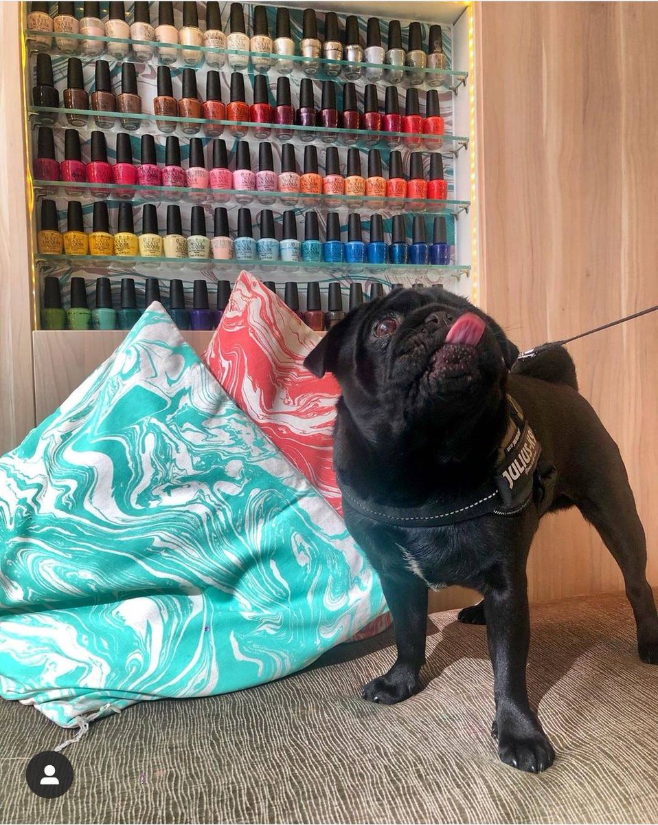 Unofficial Nailista mascot Pablo the Pug ❤