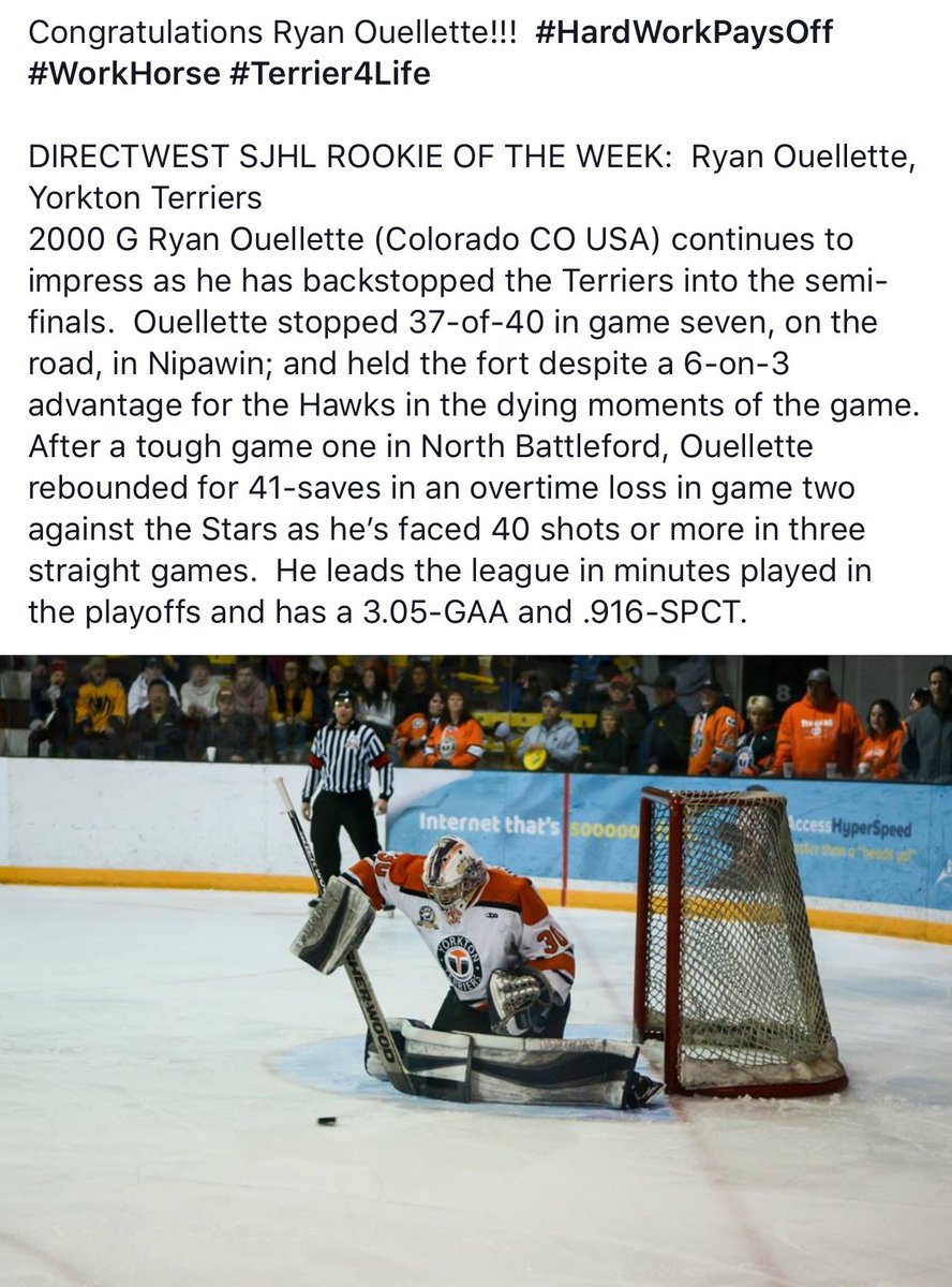 Yorkton Terriers tweet media