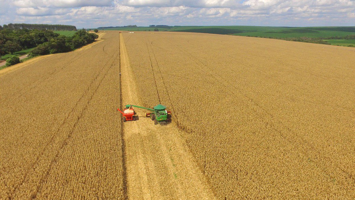 PAagronoticias's tweet photo. #AgriculturaBR
Datagro vê safra de soja do Brasil 8% menor ante 2017/18, salto de 15% no milho📊🚜🇧🇷Leia➕▶️https://t.co/sk35Zm2lgT #Soja #SafradeSoja #SafradeMilho #Milho #Agricultura #Graos #Commodities #Exportaçao #Agronegocio #DataAgro #EUA #China https://t.co/y1UD2CDPwT
