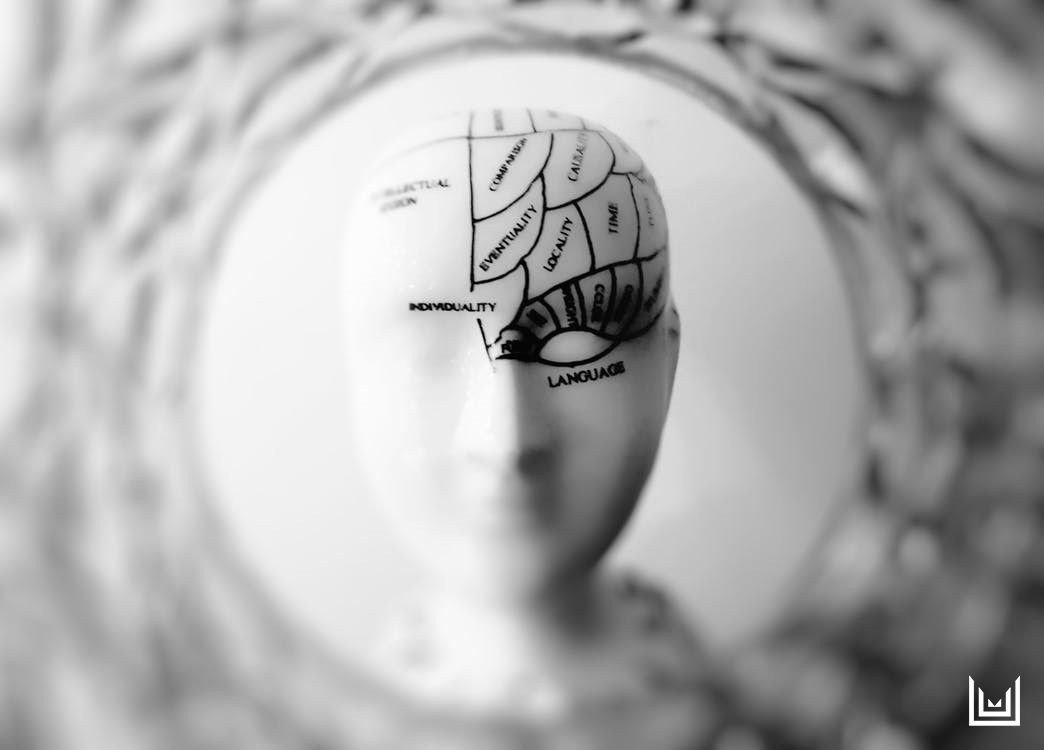 Understanding the complexity of our bodies and minds can explain connections we had never made before. 🧠

Read “The Endocannabinoid System: The Most Important System You’ve Never Heard Of”
buff.ly/2CuIbTQ 
#EndocannabinoidSystem #NaturalIngredients #PlantBasedMedicine