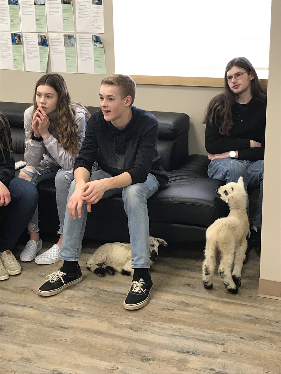 Lambs <a href="/AltarioSchool/">Altario school</a> <a href="/plrd25/">Prairie Land School Division</a>