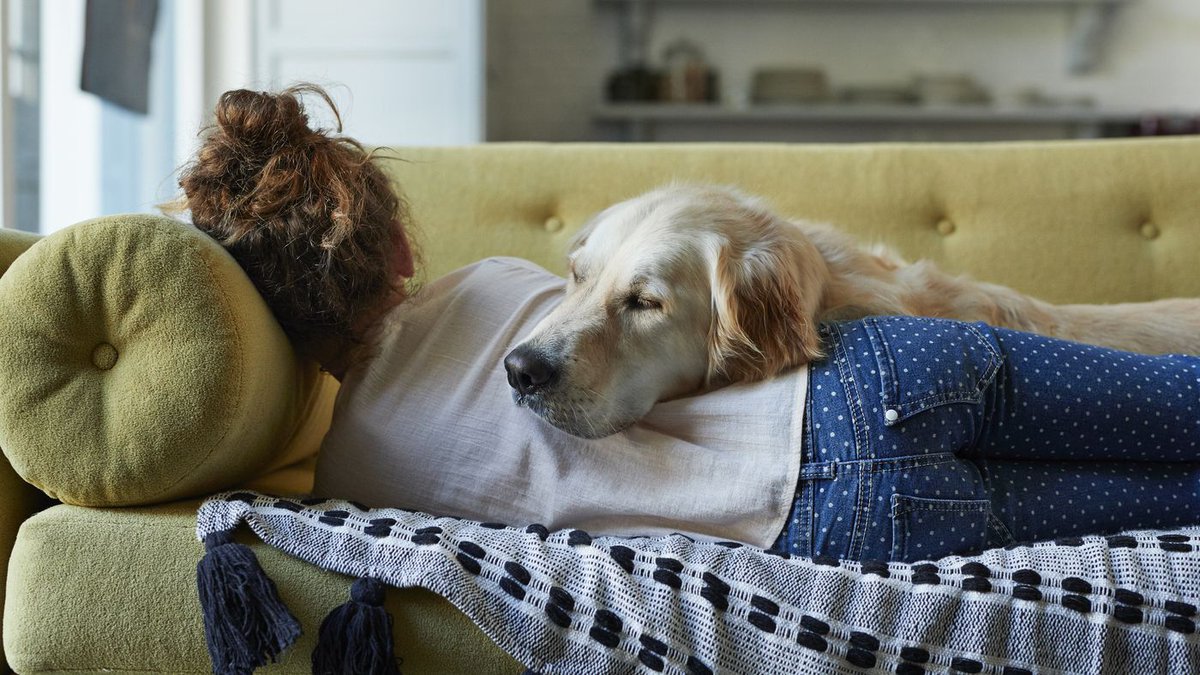 Consider this scenario: You have a long day of travel and arrive home late, say, at 2 a.m. And you've got to wake up at the crack of dawn for an early meeting the next day. Is that a big deal? Find out here: buff.ly/2WihxoD