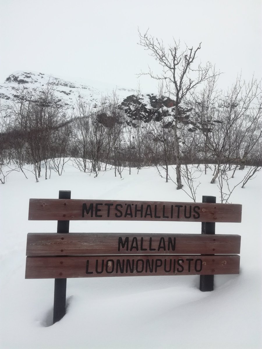 marttuli's tweet photo. Aamu oli haasteellinen, mutta työpäivä oikein mainio ja iltahiihto Mallan luonnonpuistossa ja sauna teki päivästä kokonaisuudessaan oikein erinomaisen. #työhyvinvointi #skinbased #ulkoilmaelämää #alkocru https://t.co/cUdhakMXLS