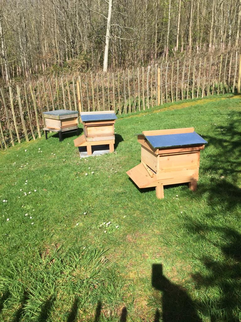 @farminfinity are so happy to be entering spring with a great new project - a new apiary at Parliament Buildings, Stormont. Read about it in the @irish_news bit.ly/2OJYcdG 😀🌎🌍 #socialenterprise #saveourpollinators #Belfast