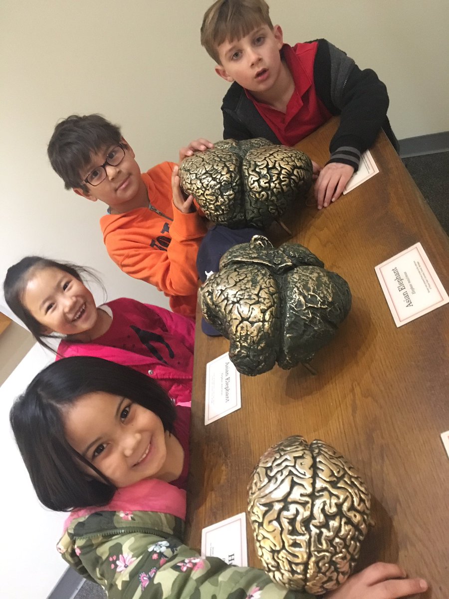 IIIBar's tweet photo. @MissHartsClass1 @NationalZoo Glad I could join the fieldtrip to the @NationalZoo  w @MissHartsClass1! A little monkey business and lots of fun! #RoundTrippedAll4 #RockinRobbins #WalkinRhinos https://t.co/XO4VfP69Vq