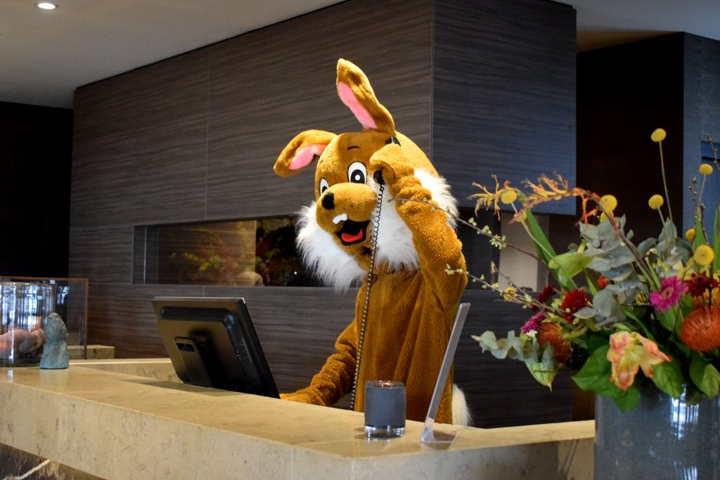 De reserveringen voor Pasen gaan ontzettend hard! Alleen voor de Paas Live Cooking hebben we nog wat plekjes vrij. Nog niet gereserveerd? Doe dit dan snel via bit.ly/Feestdagen-Zwo zodat u verzekerd bent van een heerlijk paasfeest!