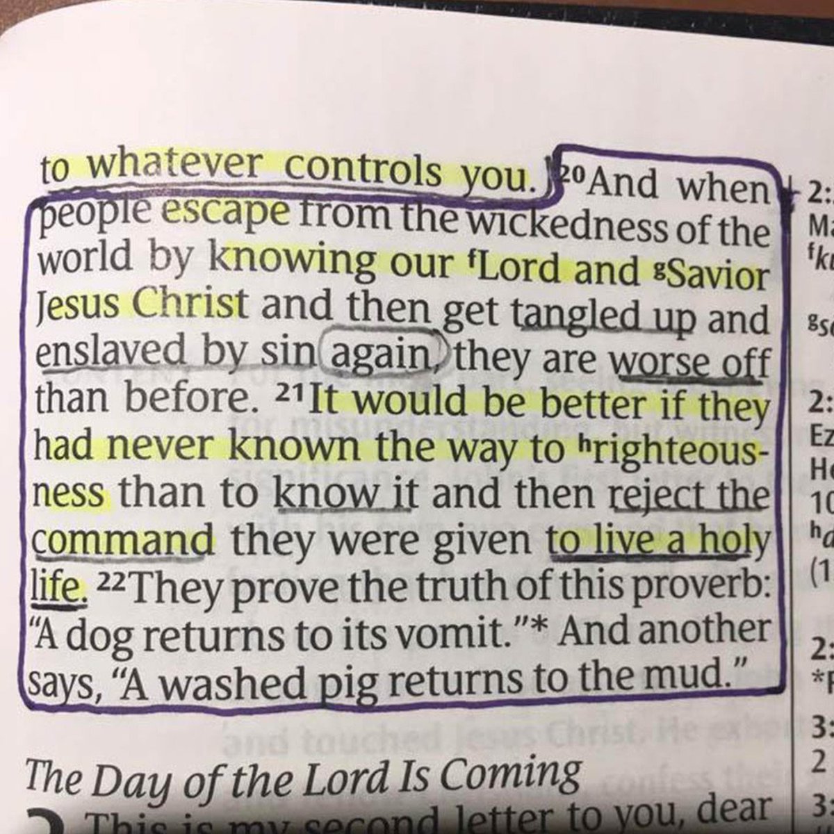 david-moore-davidmo75034846-twitter