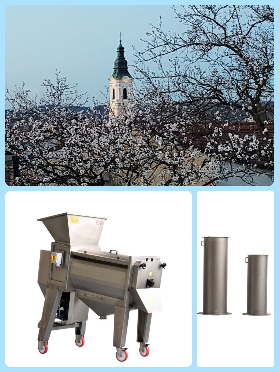 fruittechraab's tweet image. Gestern haben wir von einem Kunden aus Langenlois ein Foto 📸 von Ihren Marillenbäumen 🌳🌳 bekommen. 
Wir wünschen jetzt schon eine ertragreiche Ernte. 🍑🍑🍑

Sie sind noch nicht 🧐 mit unserer Entstein- und Passiermaschine ausgerüstet? 🤔
Wir freuen uns auf Ihre Anfrage. ✨😀