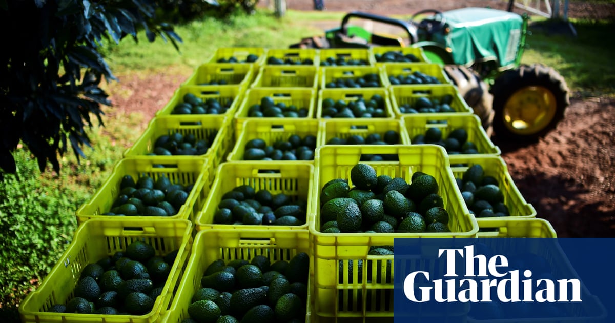 TechShareGroup's tweet photo. @AvocadoRec Software knows no borders! 

"Us will run out of avocados in three weeks if Trump closes Mexico border."
https://t.co/awuEj4EBiC https://t.co/SbixNYijQs