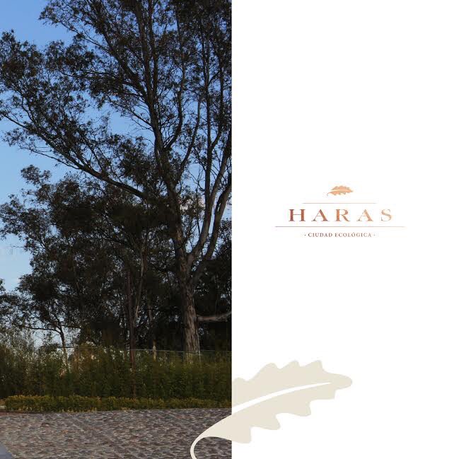 HarasOficial's tweet photo. ⫸Más que un lugar, un estilo de vida⫷
Cada detalle ha sido planeado para brindar la mejor calidad de vida! Visítanos!
.
📍Prolongación avenida las haras 3001,  Colonia Haras Flor del Bosque, Puebla, Pue. https://t.co/EeZQp4uxLR