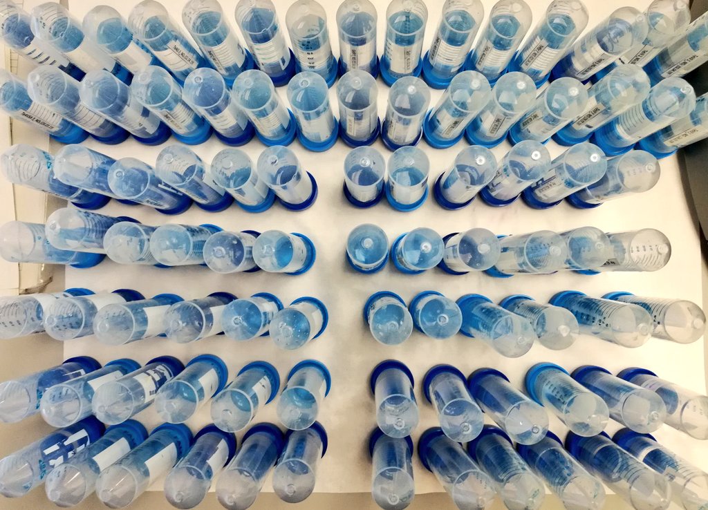 BETA_TechCenter's tweet image. 💧✔️ Do we have any new samples?

#AquaticEcology #Mesocosm #WaterTechnologies