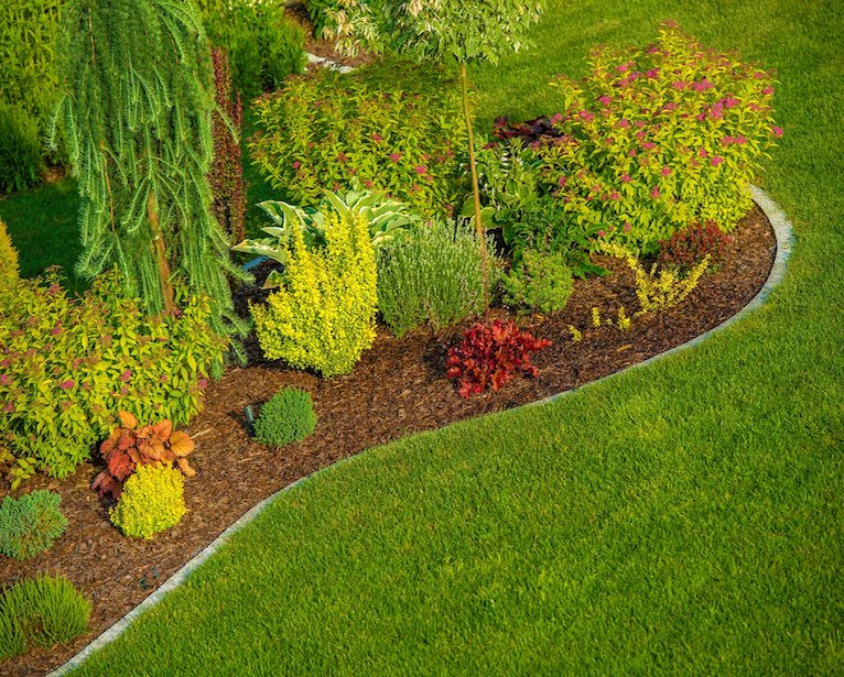 MightyGreenLawn's tweet photo. Spring is here, and weeds are growing!  Request a FREE estimate today so we can help you eliminate and prevent those weeds from growing back!
#mightygreen #lawncare #lawntreatment #lawnservice #weedcontrol #greengrass #healthylawns https://t.co/HTXtiC8l0a
