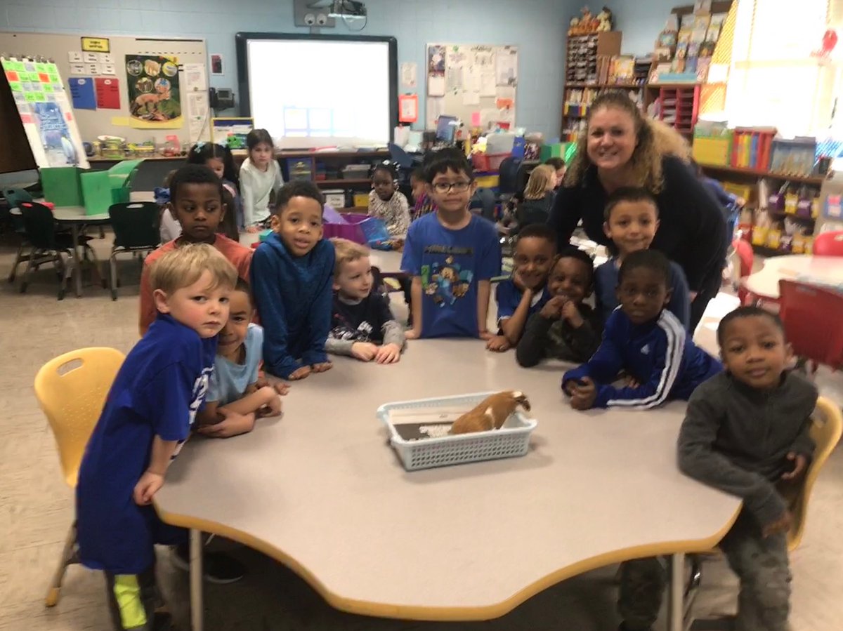 ginaginarosalia's tweet photo. Mr. Piggy Smalls saying hello to the children! #petsinclass https://t.co/nMHXSLNizV