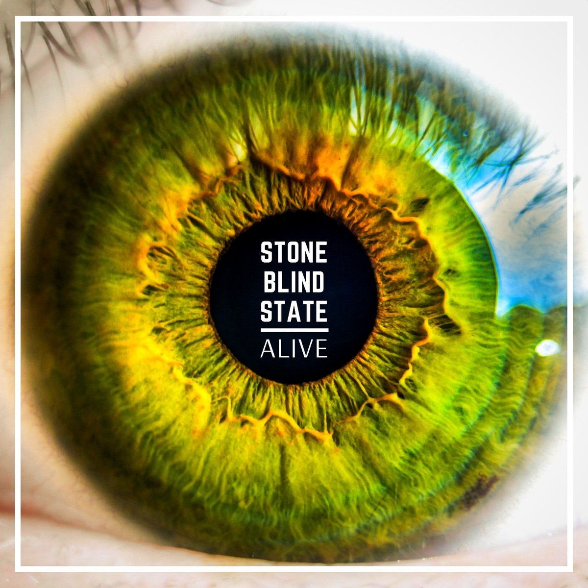 Stone Blind State tweet media