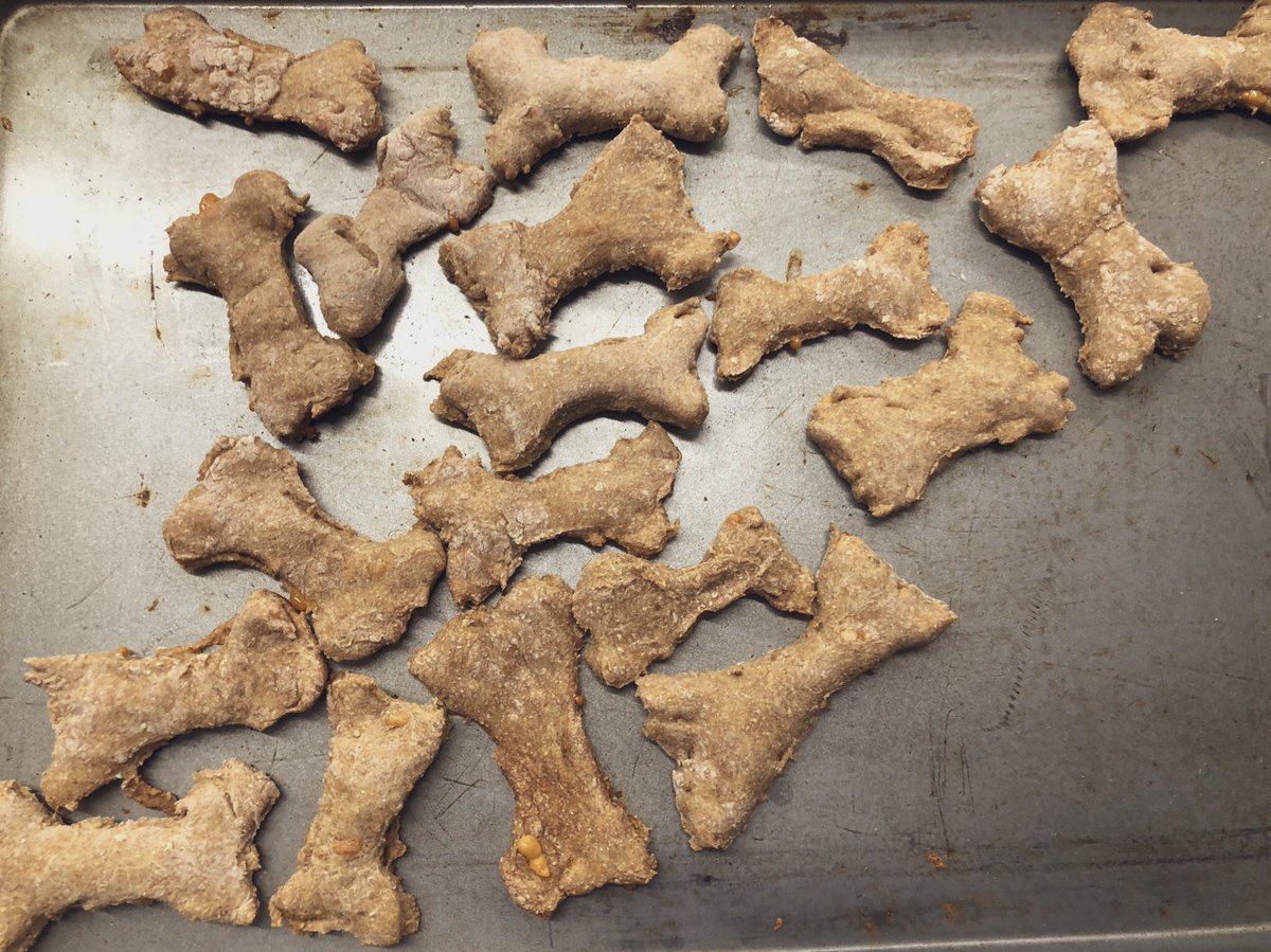 Steven Anusiak tweet media