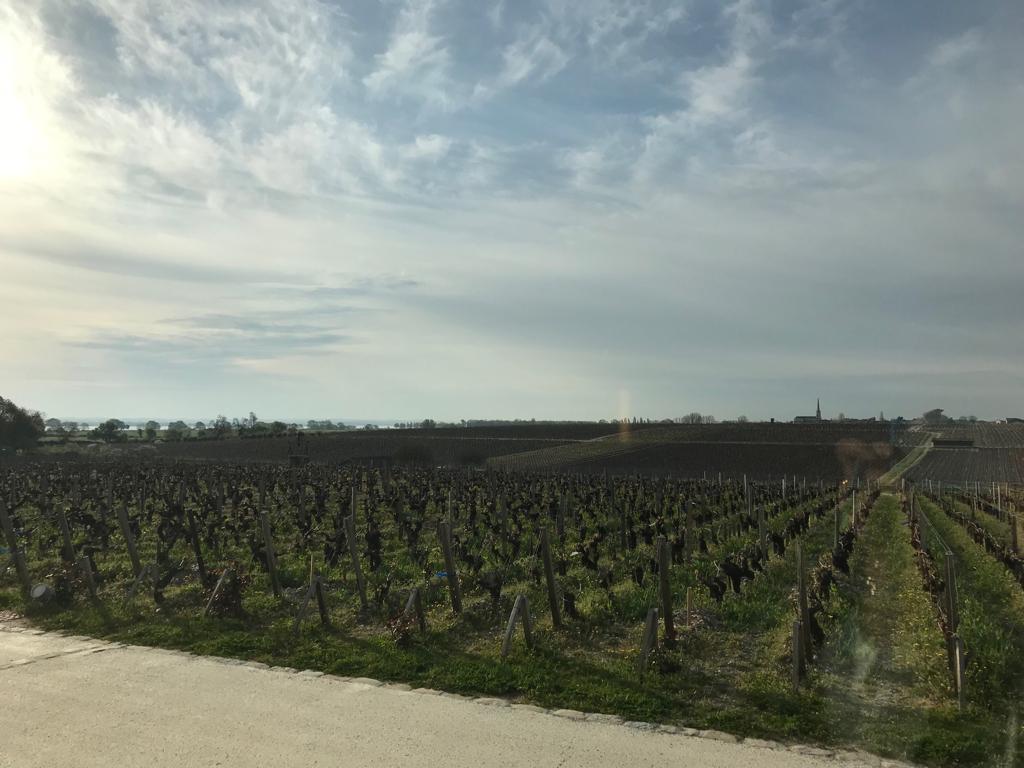 Goedhuis's tweet photo. The annual #enprimeurweek in #Bordeaux has kicked off and the Goedhuis team have already tasted some great drops of the 2018 vintage. Day 1 was a cracking start, including #Latour, #Mouton, #Lafite. Read more: https://t.co/utvArEbTXi
@ugcbnet #bordeaux2018 https://t.co/jtQlE3E0zR