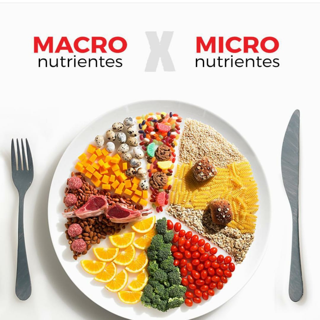 seca_Mexico's tweet photo. Elegir bien es salud, uno de los puntos más importantes de la nutrición es el consumo inteligente de macro y micronutrientes ¡Cuida tu peso!🤛💪 #seca #nutricion #peso #perderpeso #composicioncorporal https://t.co/TlYidRDp3L