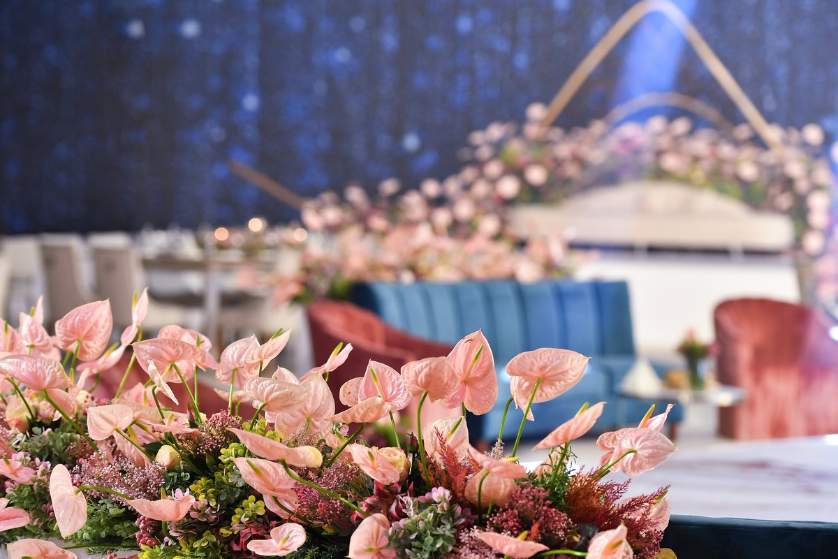 الجمال&amp;المزروعي