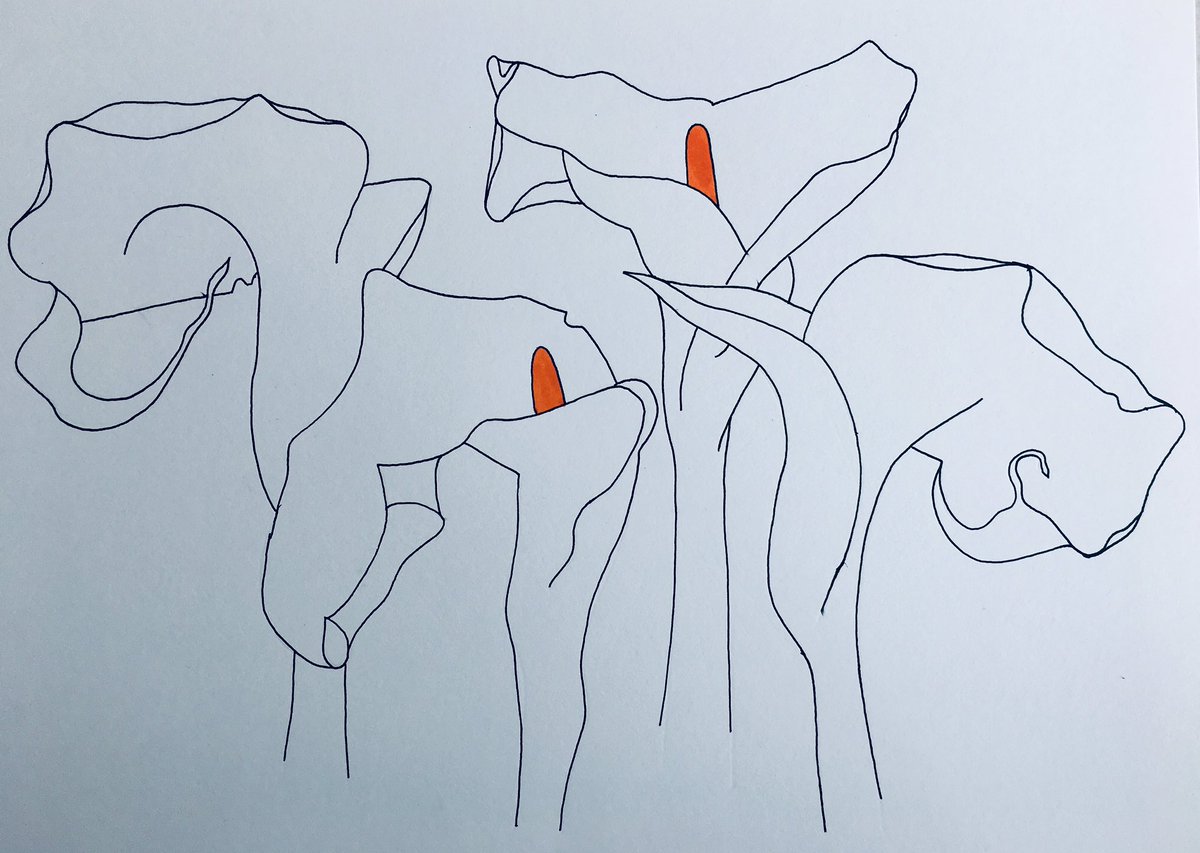 BeardyTatters's tweet image. #floralpattern #floraldesign #fabricdeisgn #fabricpattern #patternsherethereandeverywhere #foxandtatters #design #upholstery #interiordesign