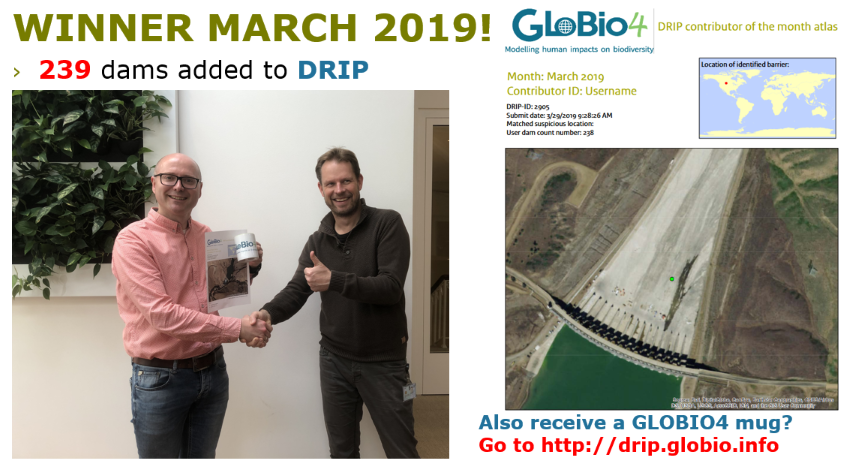 GlobioModel's tweet photo. See the award ceremony for most productive contributor, who added 239 dams to #DRIP just last month! We hope our February winner @jankuiper87 (490 dams mapped!) is already enjoying his sent reward? Will you get our April mug? Join at https://t.co/Na1CN72Nw6 #GLOBIO #crowdsourcing https://t.co/Badpft5HvK