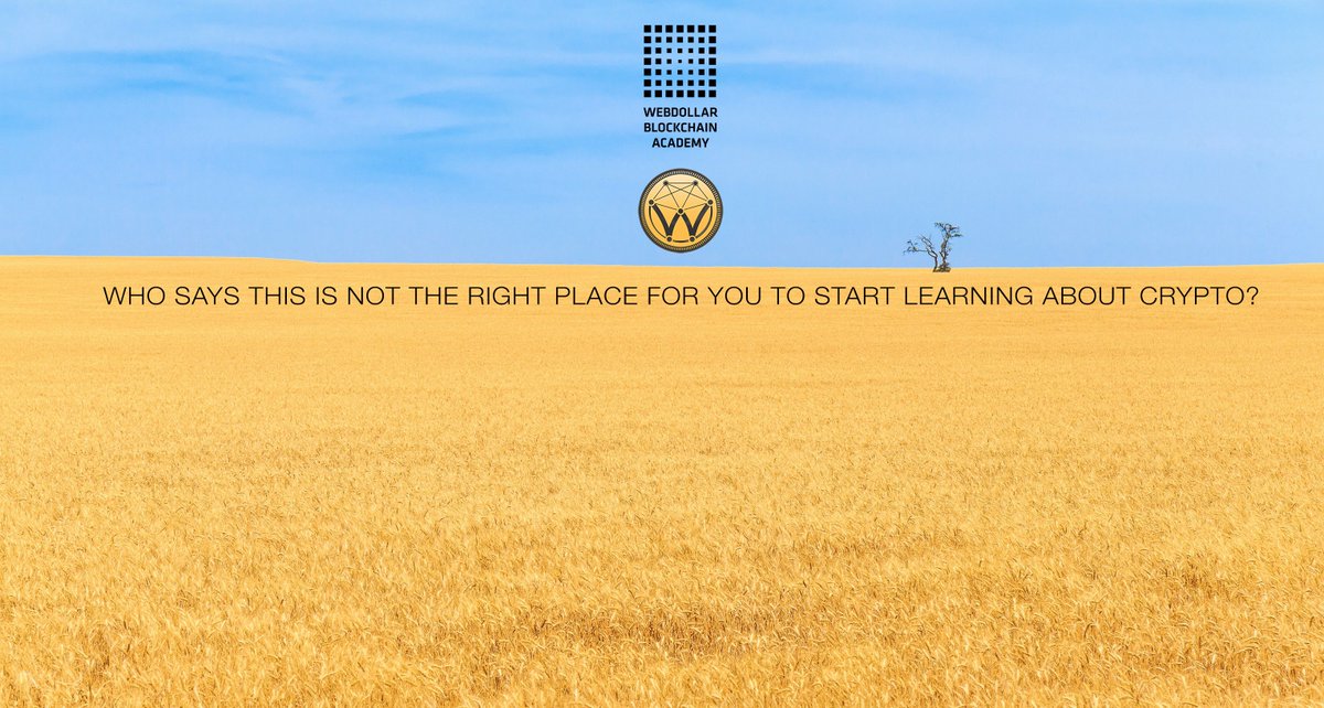 WebDollar_io's tweet photo. Easiest to use #crypto in the world presents the easiest way to learn about #blockchain #technology - Stay tuned for #WebDollar Blockchain Academy and share the news! One of those who #retweet this post will win 2.000 $WEBD on Sunday! #money #school #Academy #economy #CryptoNews https://t.co/xcRyQPtojR