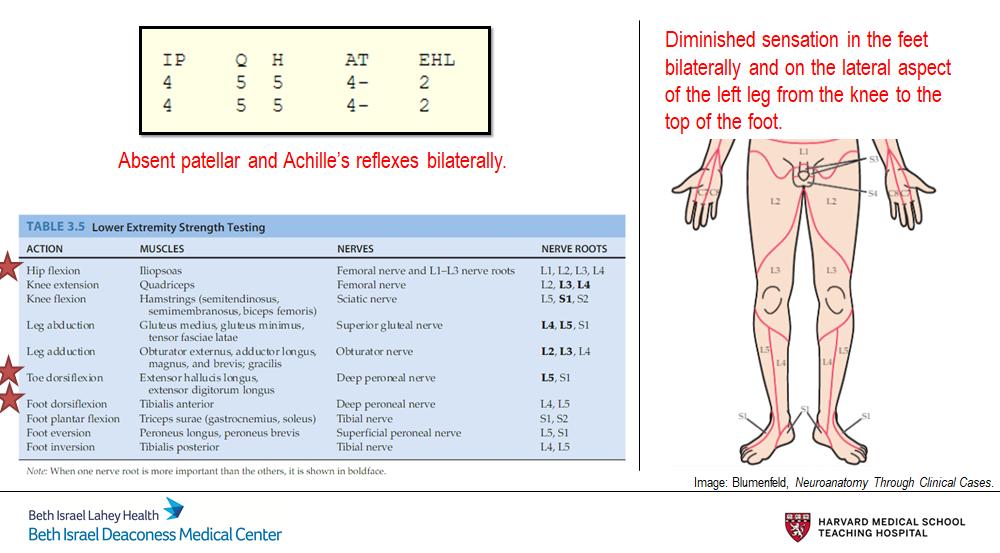 semantics in data and knowledge bases