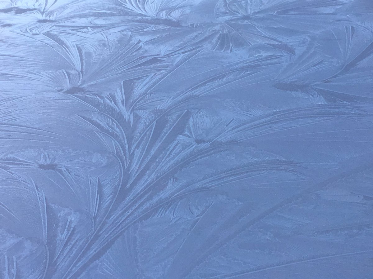 constablestokes's tweet photo. Remembering those frosty winter days. Hoping we are done for a while. But gotta say these crystal patterns are beautiful! #bringonspring #iceisnice #snowtiresoff #sunshine #stoked https://t.co/XrdqsO50Js