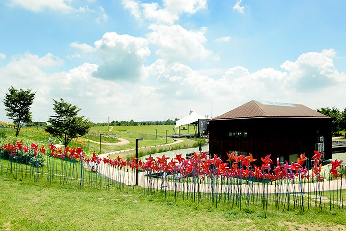 190402 Seven Best Parks for a Spring Picnic in Seoul! 
#Korea #Seoul #Spring #Picnic 🌸
english.visitkorea.or.kr/enu/ATR/SI_EN_…