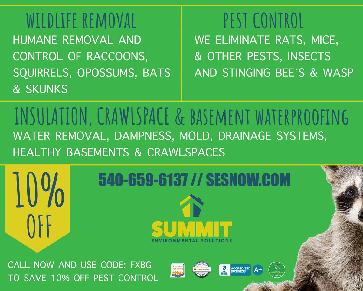 SummitES's tweet photo. Have you spotted our ad in the Fredericksburg Guidebook? Make sure you take advantage of this amazing offer. https://t.co/vVozXNtXI8