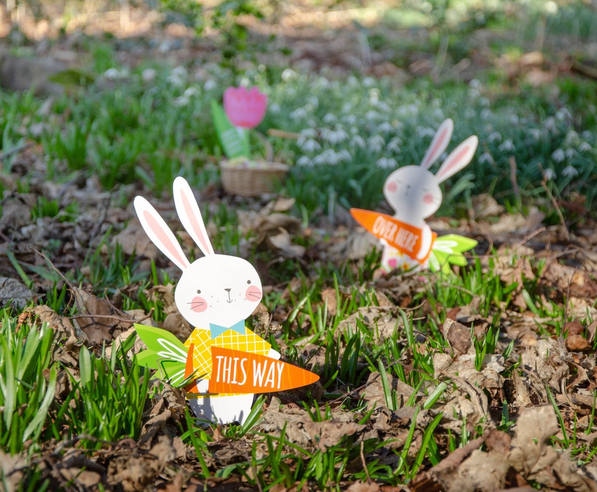 Get your little bunnies hopping in the right direction with this set of adorable egg hunt props! Perfect for little ones who need a helping hand!

Take a look: ow.ly/lh5y30ohYSH 

#easteregghunt #easterparty #easter #easterchocolate #happyeaster #bunny