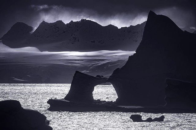 The scale of the surroundings in Antarctica is just astonishing.

Can you spot the boat? 
@oneoceanexp 🇦🇶🐧 ift.tt/2FI5SZG