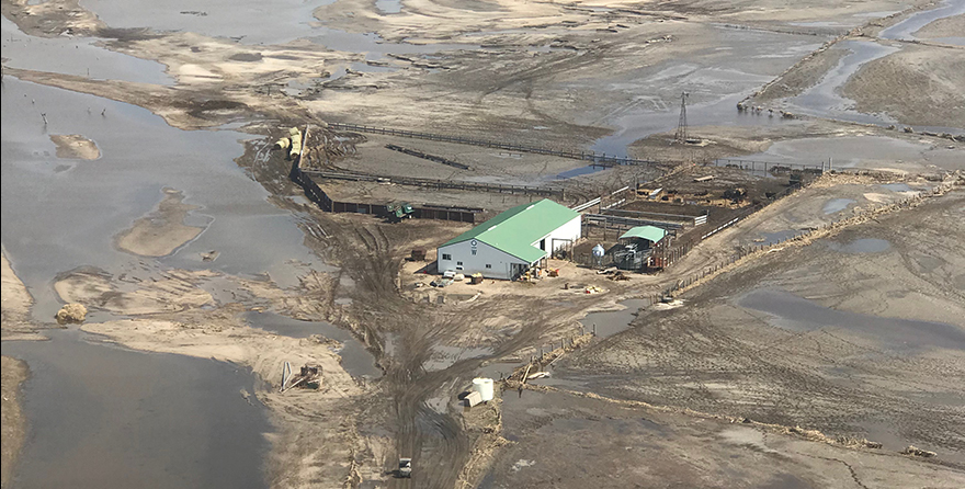 For producers in Nebraska – If the recent abnormally cold, wet weather impacted your #livestock operation, file a notice of loss by April 29 for assistance through the Livestock Indemnity Program. go.usa.gov/xm3Ew