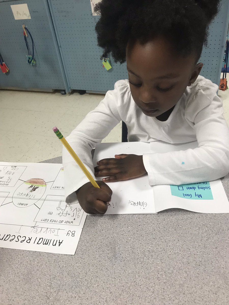 Cacibalser's tweet photo. They amazed me again today!! #K4 #theyCAN #research #smallgroupwriting #PersonalizedLearning #goals #SelfAssessment #PersonalizeSC @RockHillSchools @OldPointeElem https://t.co/6eW4wP59JL