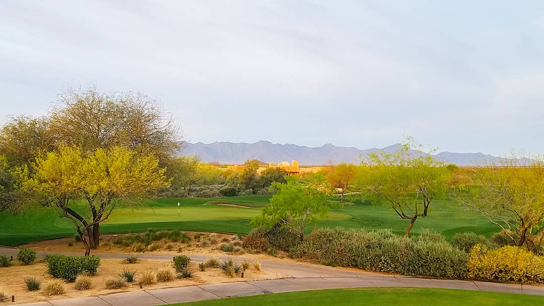 Beautiful view of Cattail #18 on a perfect Arizona spring morning!
#golfing #morningviews #golfviews