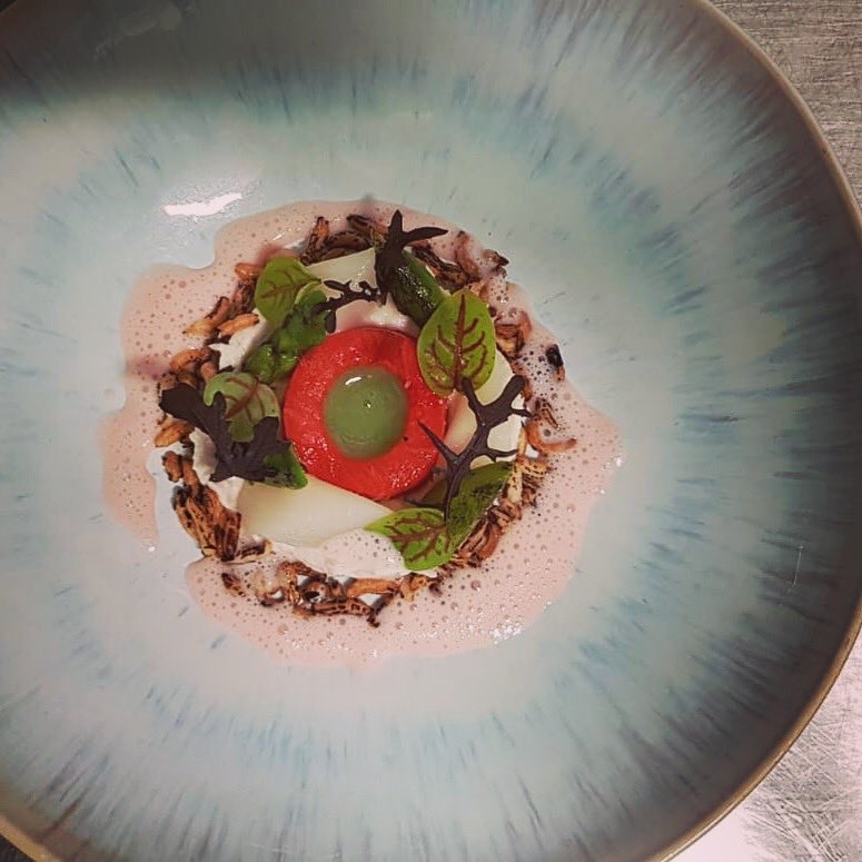 RestaurantLeff's tweet photo. NIEUW! Rillette van dorade, gemarineerde watermeloen, asperges, jus van komkommer, wilde rijst en smoothie van watermeloen!
#Leff #restaurant #lekker #onthemenu #new #menu #oudbeijerland #uiteten https://t.co/JLW0WpUxSi