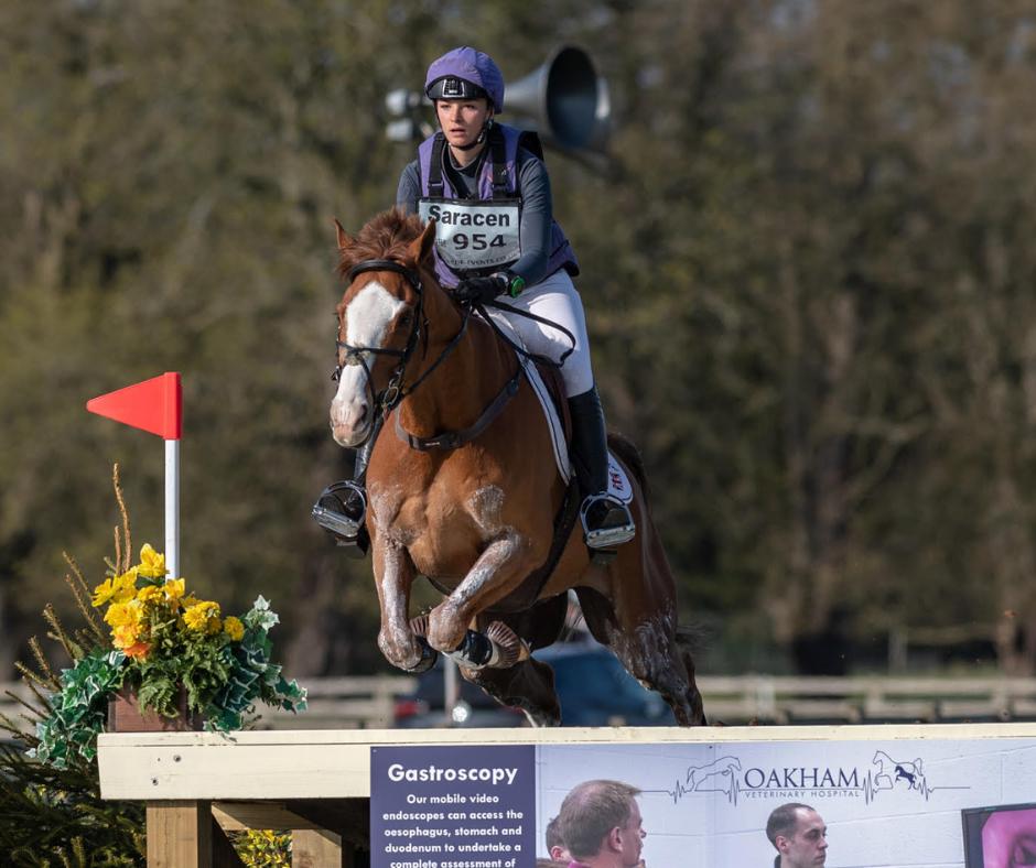bedeevents's tweet photo. Emily King dominating the top of the leader board for the AU25, coming in second and third
Here she is on Jane Del Missier’s Dargun
Dargun, a 10-year-old by Valliant, showed no signs of fatigue
#BeltonHT
Pic TY @wescarey https://t.co/q1uWjYuOuk