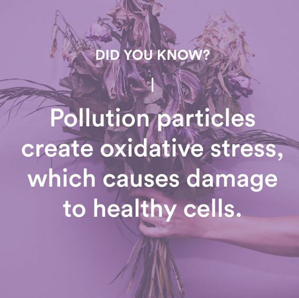 Help your cells thrive in 2019 with our #PollutionDefenseDuo 💜 #JulepPurple #Skincare