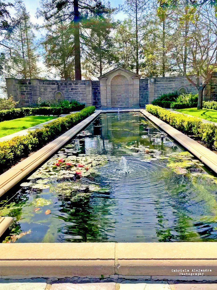 When you do staycations because you live where the vacation spot is! Greystone Mansion, Beverly Hills, CA