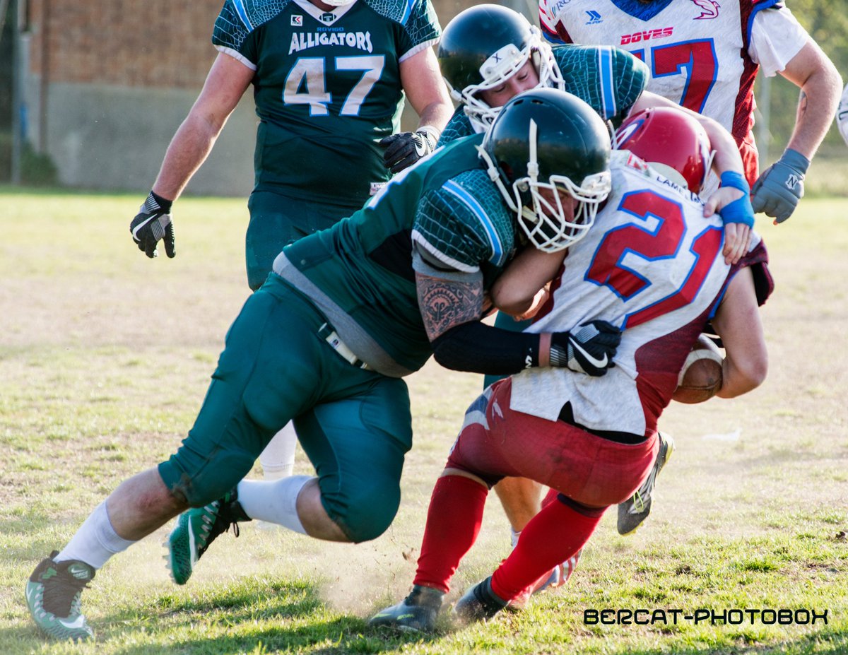 AlligatorsRo's tweet photo. Per gli #AlligatorsRovigo la partita di sabato con i #DovesBologna, la terza della loro #stagione2019 del #CampionatoItaliano di #FootballAmericano di #IIIdivisione, รจ stata una caduta da cui รจ necessario ripartire.
#FIDAF #CIF9 #FootballA9 #Rovigo #Polesine #Veneto https://t.co/7qijALcxkV