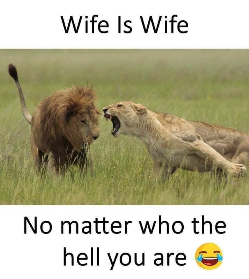 parvez_sikder's tweet image. The only person that @bayer04_en admin can’t rule is his wife. 🤕
Otherwise he eats FT for breakfast.😎
#B04 #AdminFact