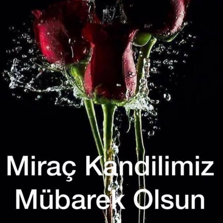 Hayırlı huzurli akşamlar🌹
Miraç kandiliniz 🥀🌹
Mübarek olsun 🦋🦋🌹🥀