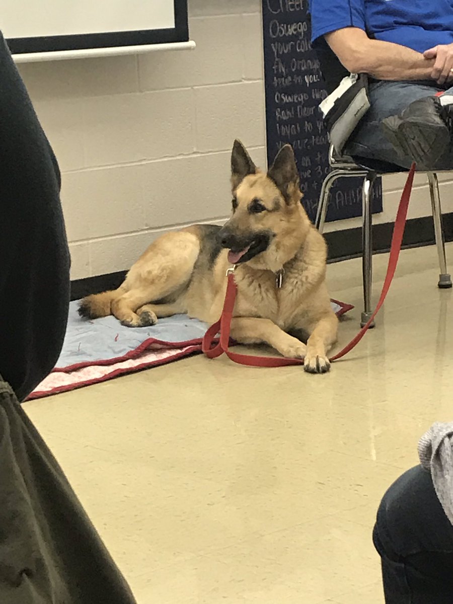 j9thacker's tweet photo. Iโm in heaven! Therapy dog session! #Ignite308PD https://t.co/NYz7QsycrE