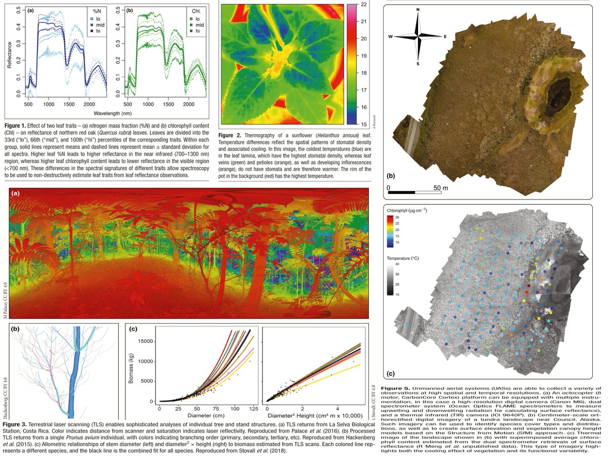 WK Smith π (@wkolby) on Twitter photo Our new <a href="/ESAFrontiers/">ESA Frontiers</a> paper: Enhancing global change experiments through integration of remote-sensing techniques. Led by <a href="/ashiklom711/">Alexey Shiklomanov</a> w/ <a href="/plant_invader/">Bethany Bradley</a> <a href="/bristleweed/">Kyla Dahlin</a> <a href="/amfox37/">Andrew Fox π°ππ¦βοΈπ²</a> <a href="/Gough_Lab/">Gough Labπ¦</a> <a href="/climate_dude/">Forrest M. Hoffman</a> @doctorjackpine and others esajournals.onlinelibrary.wiley.com/doi/full/10.10β¦ Our new <a href="/ESAFrontiers/">ESA Frontiers</a> paper: Enhancing global change experiments through integration of remote-sensing techniques. Led by <a href="/ashiklom711/">Alexey Shiklomanov</a> w/ <a href="/plant_invader/">Bethany Bradley</a> <a href="/bristleweed/">Kyla Dahlin</a> <a href="/amfox37/">Andrew Fox π°ππ¦βοΈπ²</a> <a href="/Gough_Lab/">Gough Labπ¦</a> <a href="/climate_dude/">Forrest M. Hoffman</a> @doctorjackpine and others esajournals.onlinelibrary.wiley.com/doi/full/10.10β¦