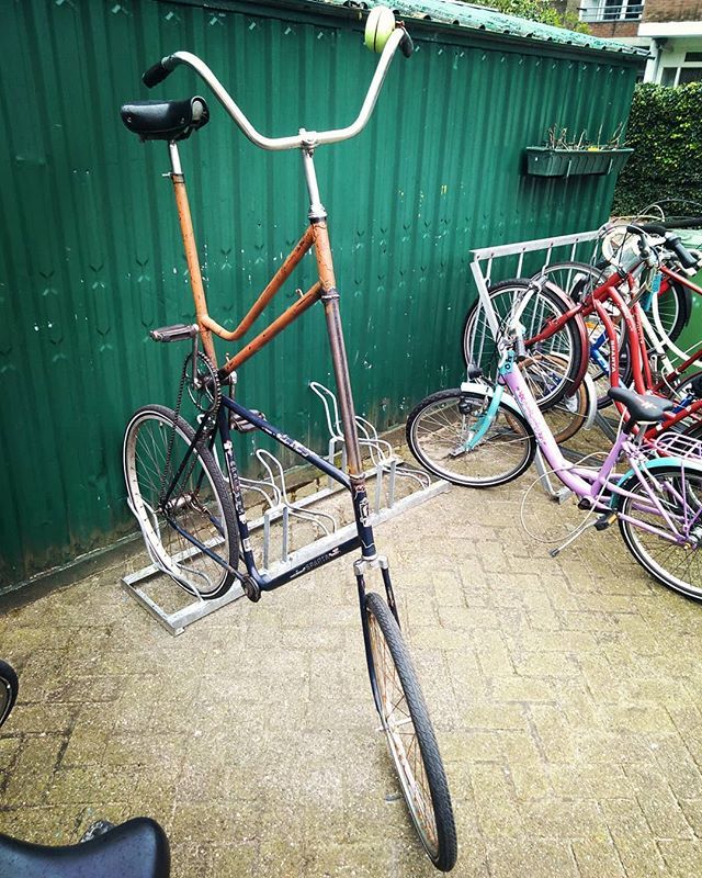 PluspuntRdam's tweet photo. Fiets! 🚲

#toffefiets #gekkefiets #circusfiets #creatievelingen #pluspuntnoord #pluspunt #tofding #fiets #fietsenmakers #creatiefbezigzijn #crea #creatiefbolwerk #hardewerkers #bicycle #bicycles #creativepeople #iwanttoridemybike #toffedingen https://t.co/K2Jak2F5Gw https://t.co/YJ1o3BiV91