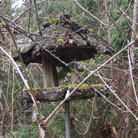 BestHomeProds's tweet photo. Homemade birdhouses can be so amazing. It's great to see what creative juices people have. Kindly share with us your favorites. #homemadebirdhouses #creativity #birds #spring #share https://t.co/p0NknlK2Kg