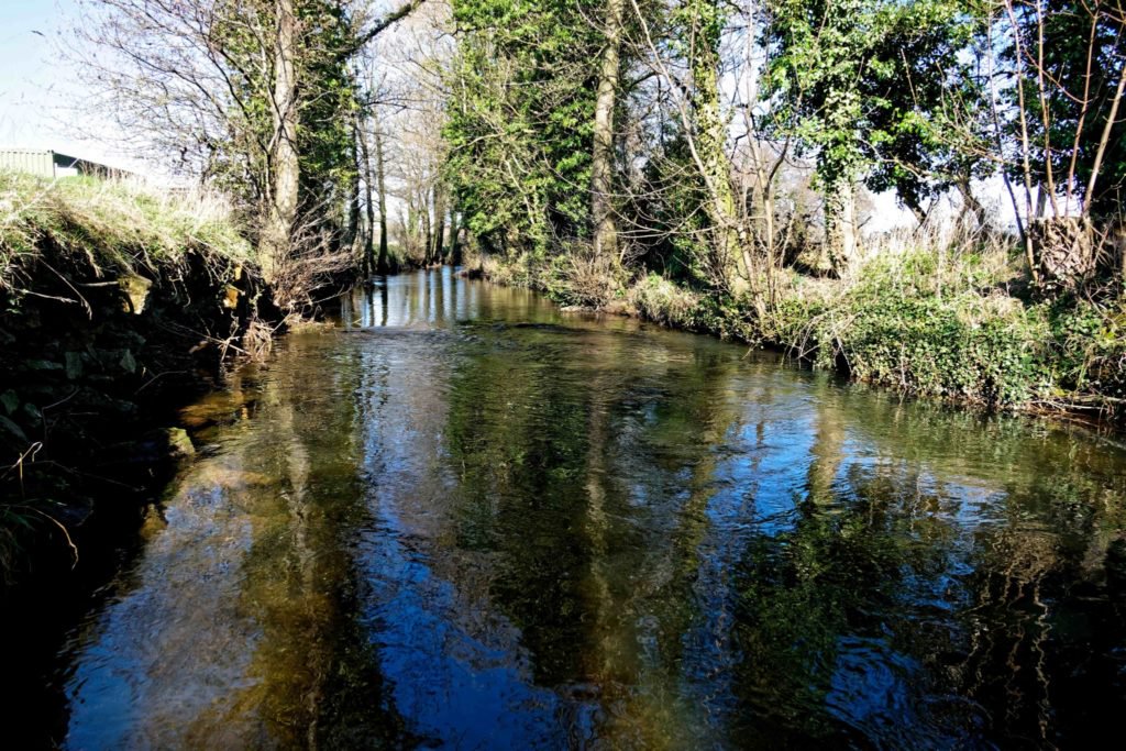 Pickering Fishery Association tweet media